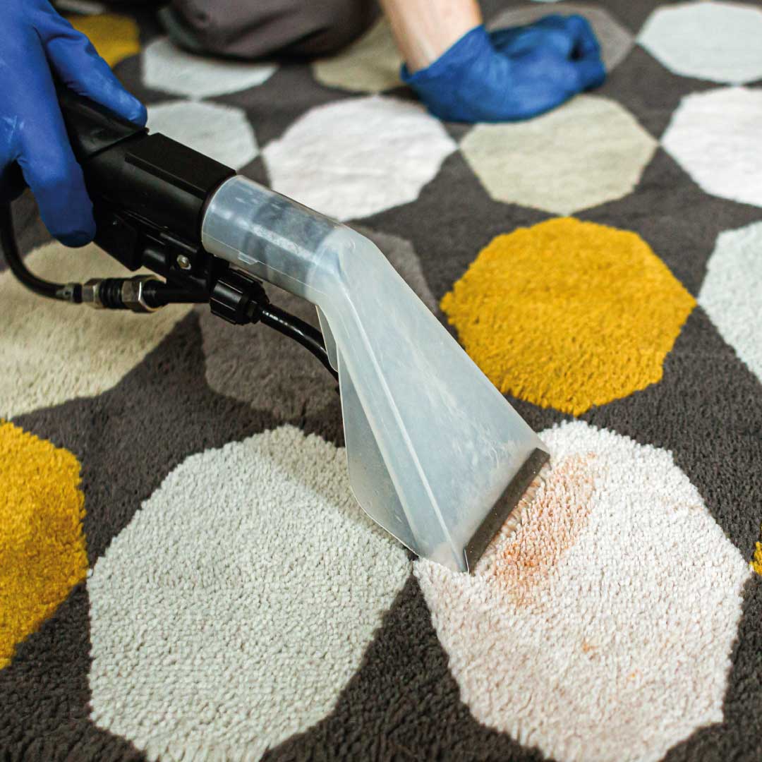 Sofa Cleaning