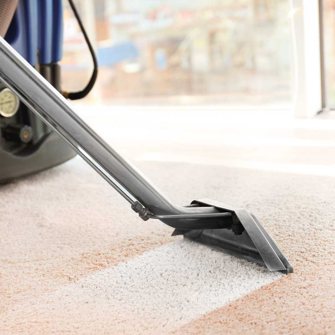 Carpet Clean