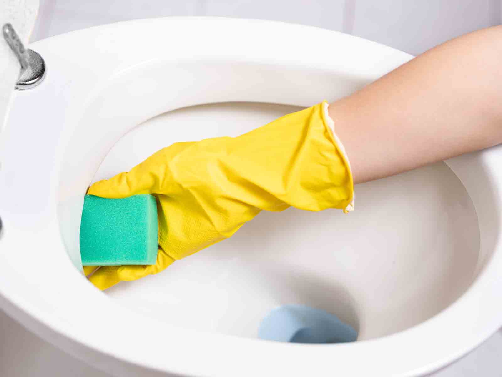 Move Out Cleaning Service