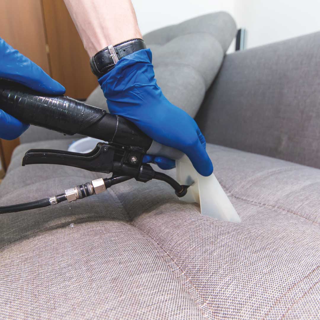 Carpet Stain Removal
