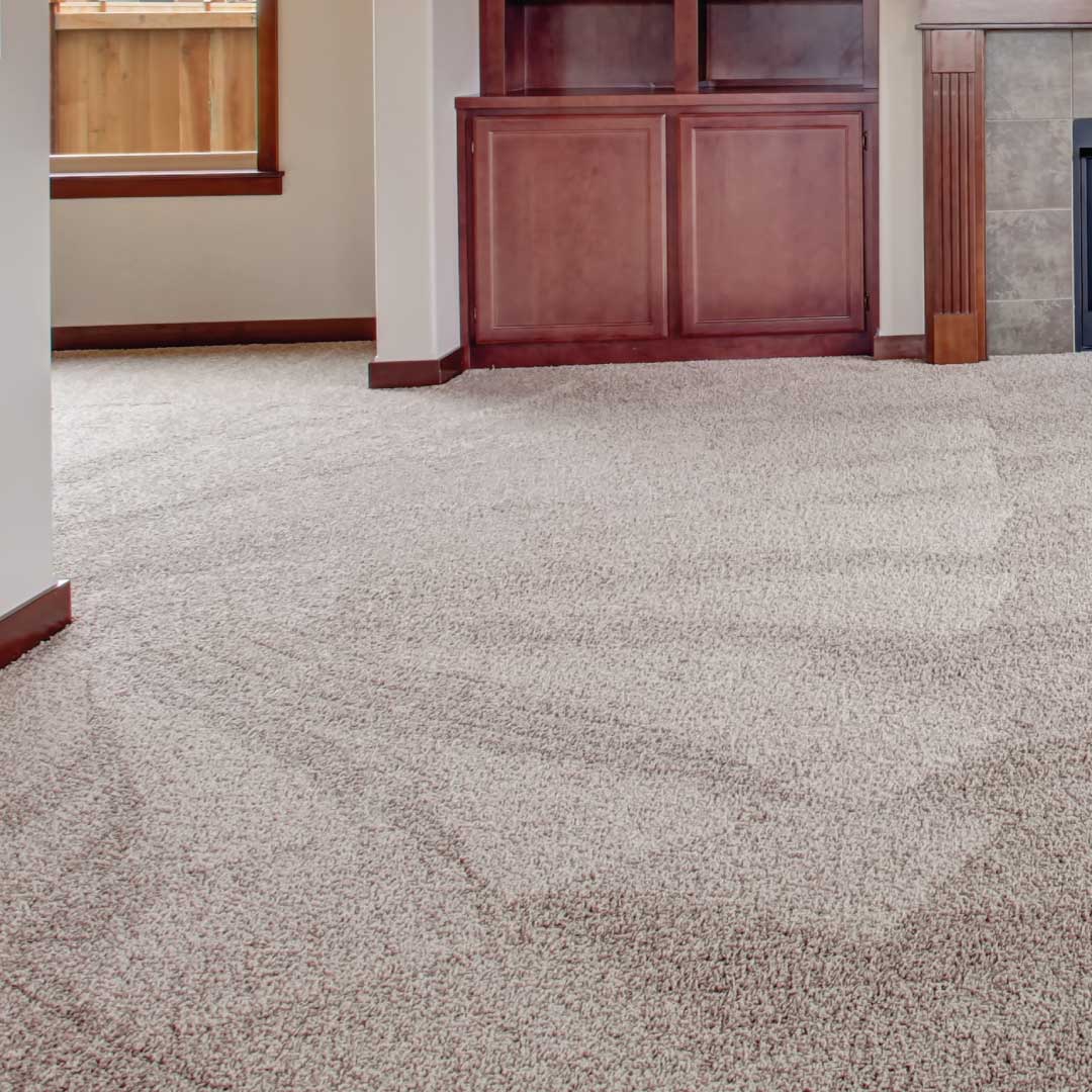 Upholstery Cleaning