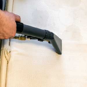 Carpet Cleaning Hand Cleaning