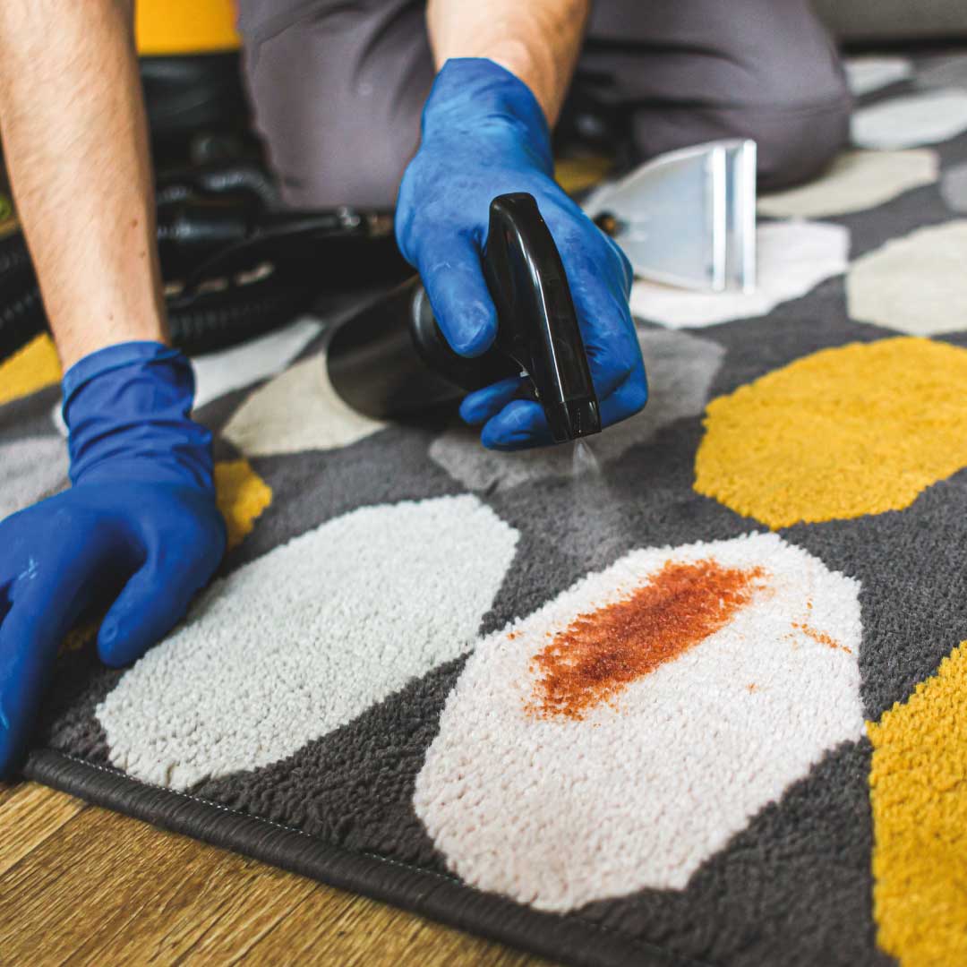 Rug Cleaning