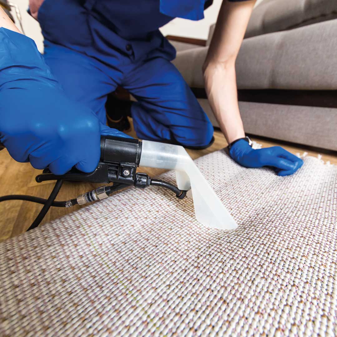 Professional Carpet Cleaners