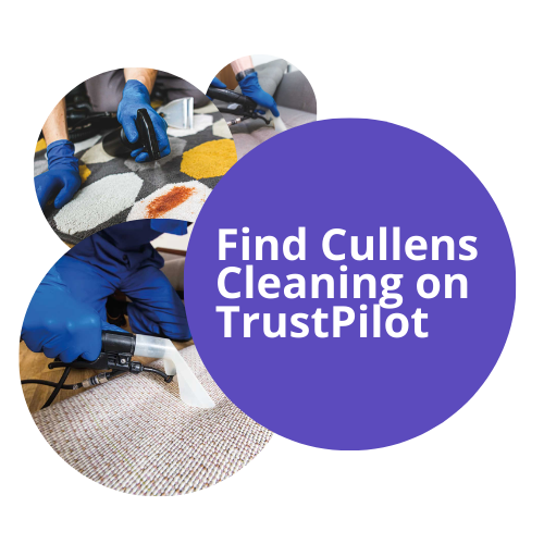 TrustPilot Reviews