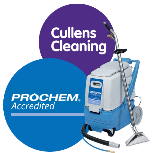 Professional Carpet Cleaning