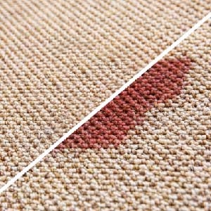 Carpet Cleaning Stain Protection Treatment